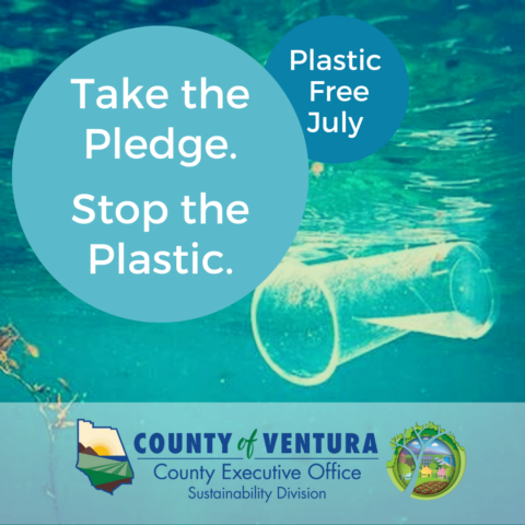 Celebrate Plastic Free July This Summer