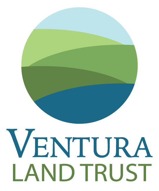 VLT_Logo-vert