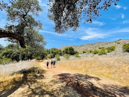 Hikers exit an oak grove at Ventura Land Trust’s Harmon Canyon Preserve