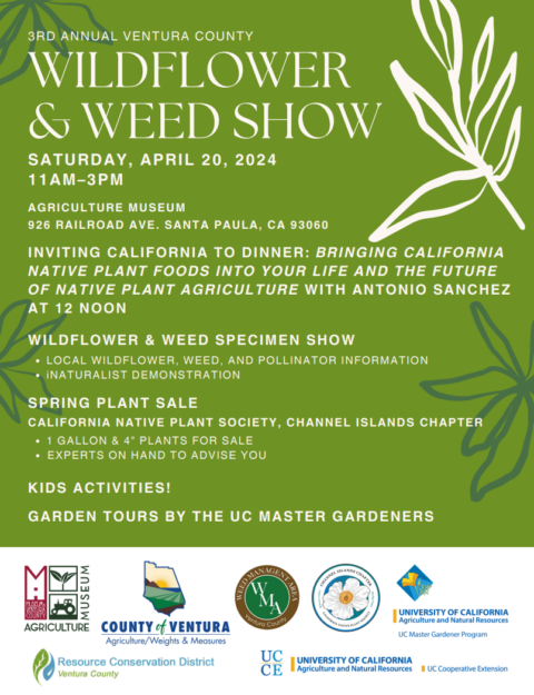 3rd Annual Ventura County Wildflower & Weed Show