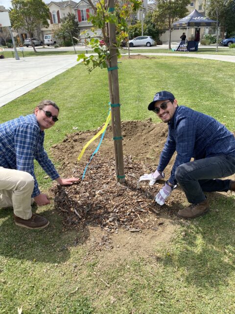 Sustainability Division staff at Ventura Tree Alliance event